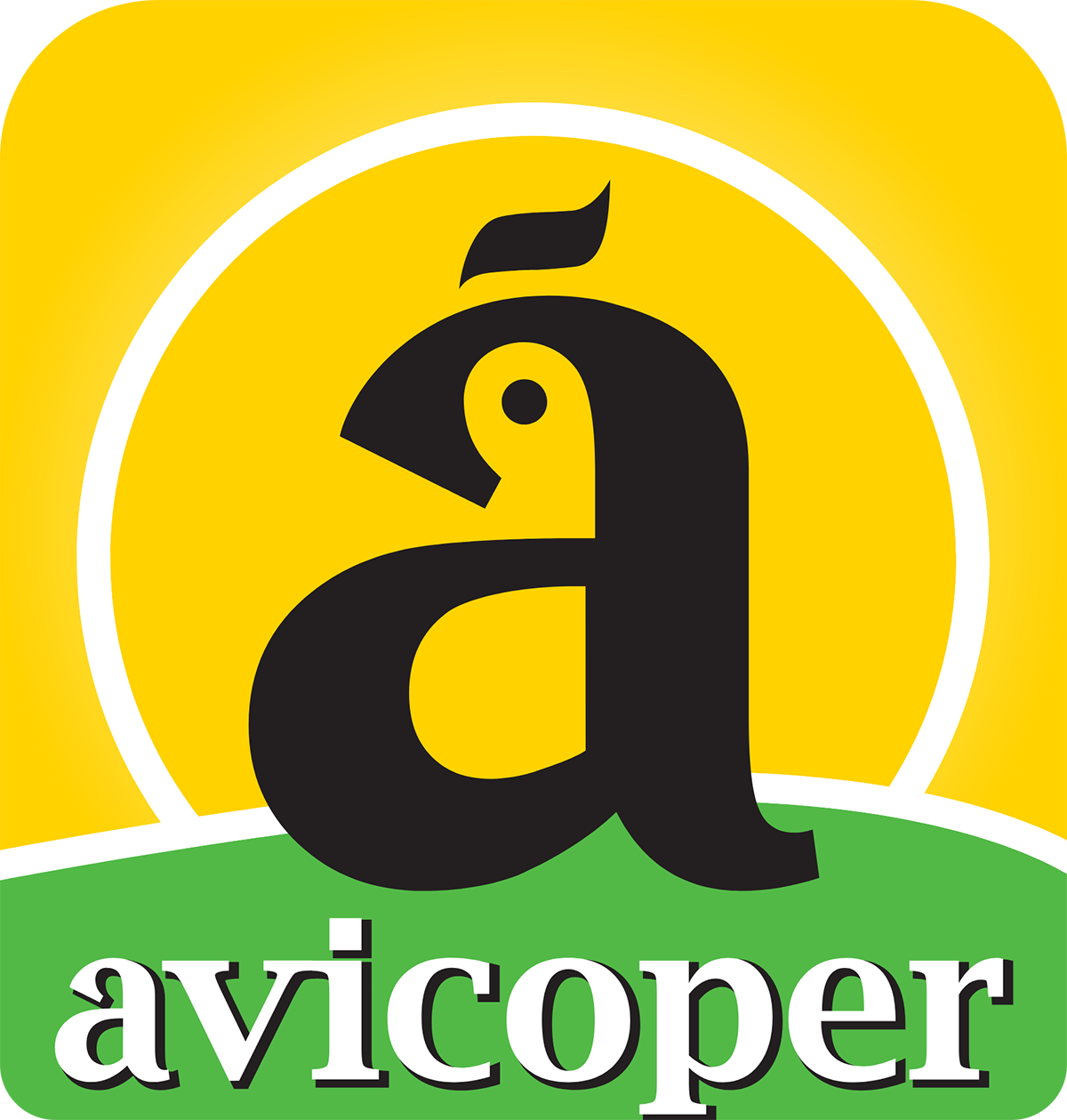 Chat Avicoper